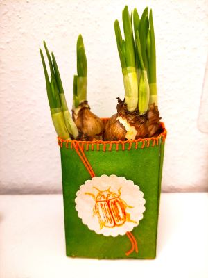Aus einem alten Tetrapack gebastelter Blumentopf.